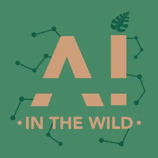 Podcast AI in the Wild Logo